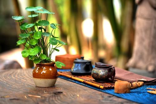 “鲜花在茶叶中绽放”，这5种花茶，让生活更有品味