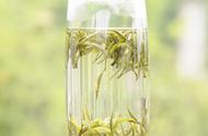 霍山黄芽：中国茶香的醇厚之源